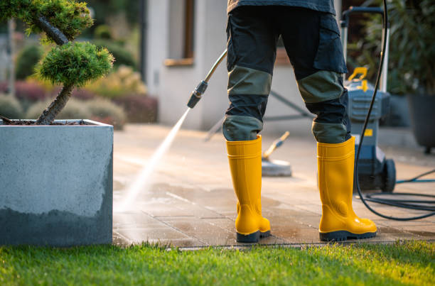 Best House Pressure Washing  in Temple, PA